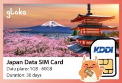 Japan data sim card KDDI