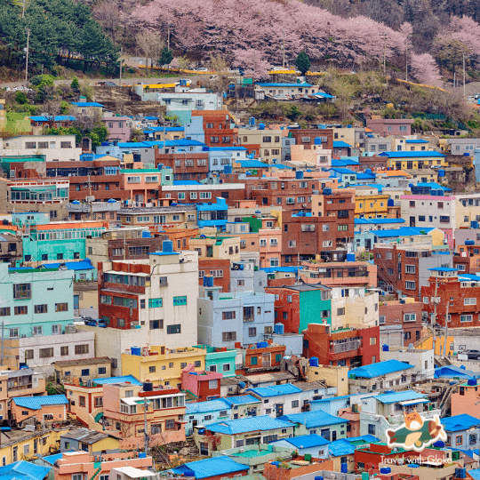 Du lịch Hàn Quốc -  Busan