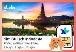 Sim du lich indonesia xl