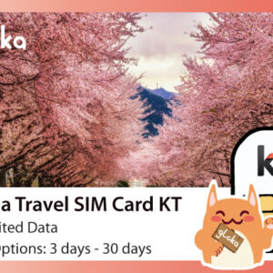 Korea travel sim card KT