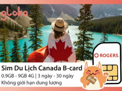 sim canada 1